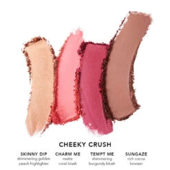 JOUER | Champagne & Macaron Face Palette -Sturm Beauty Shop CMFP CC swatch 1024x1024 progressive jpg