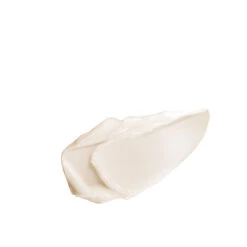 NATURA BISSE | Essential Shock Intense Cream -Sturm Beauty Shop PHOTO ESI CR PRIN4 31A130 jpg