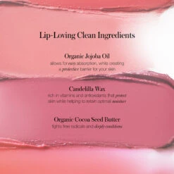 RMS BEAUTY | Mini Lip Love Kit -Sturm Beauty Shop RMS GS16 816248026548 05 png